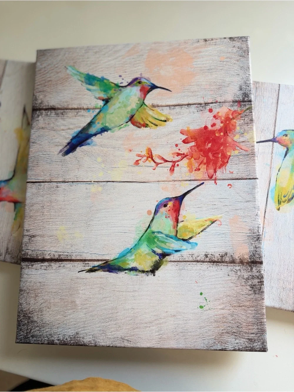 Set of 3 Colorful Hummingbird Wall Art Canvas - Multicolor